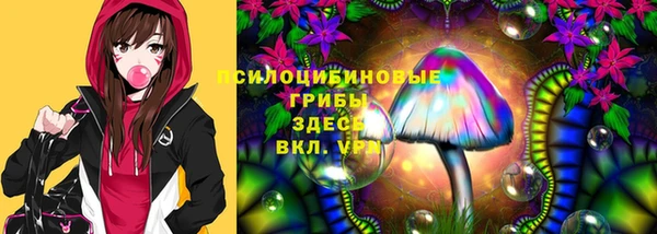 герыч Магас