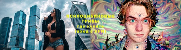 герыч Магас