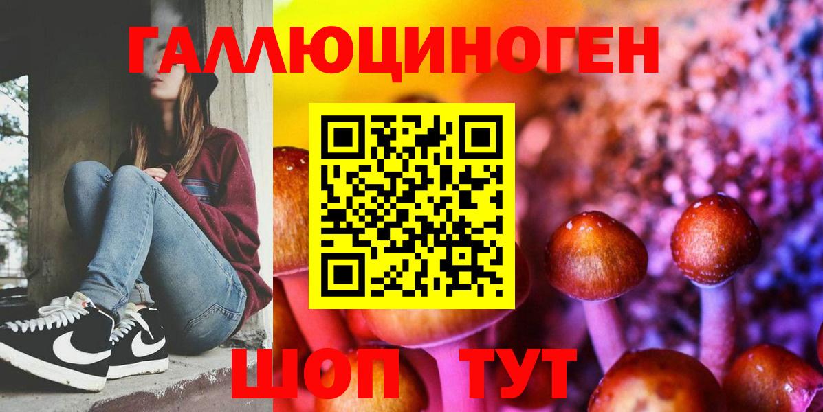 Галлюциногенные грибы Psilocybine cubensis Находка