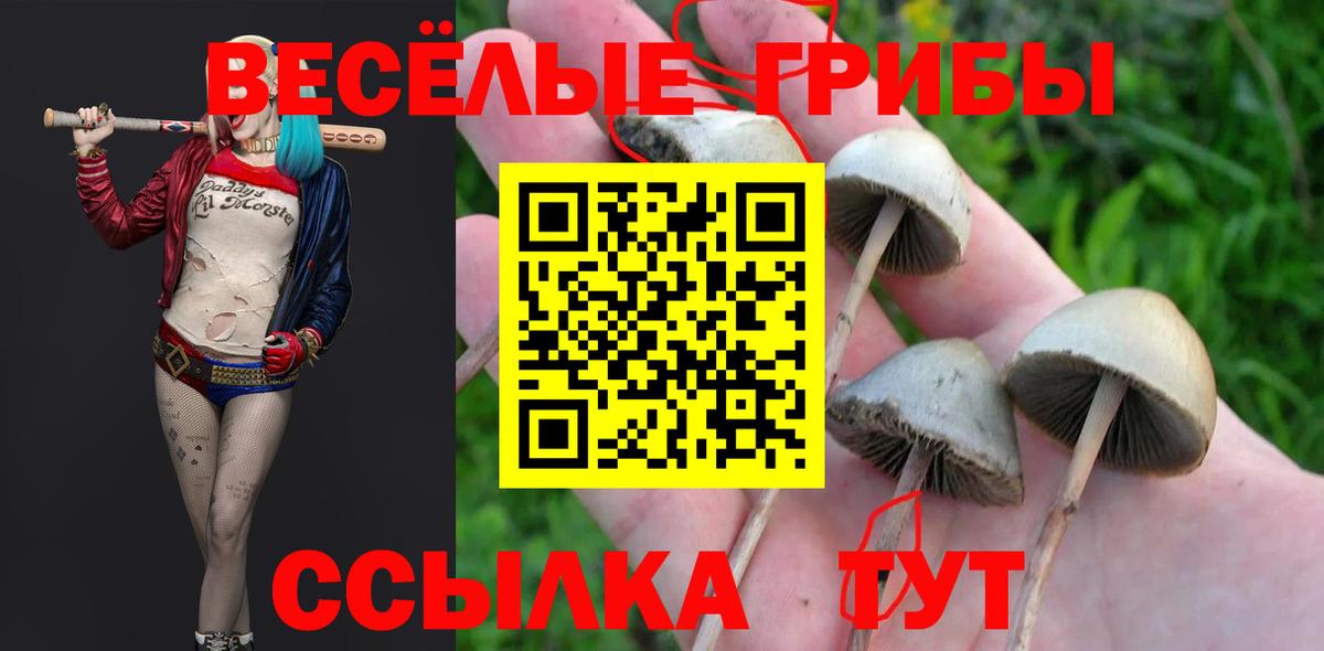Псилоцибиновые грибы GOLDEN TEACHER  Вход с VPN  Находка 